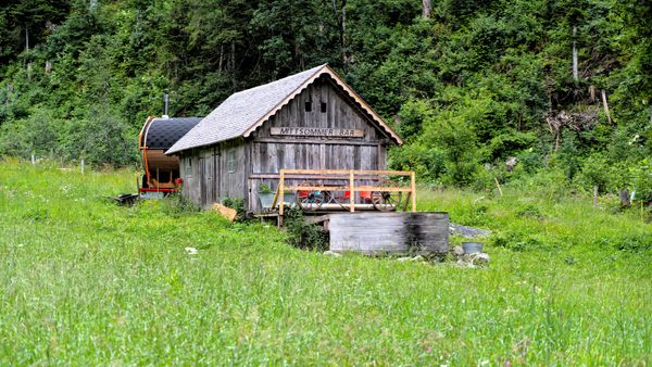 A rustic wooden cabin in a lush grassy meadow, surrounded by dense forest in Switzerland.