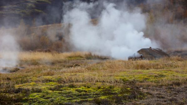 A scenic view of a steaming geyser field surrounded by moss and autumn foliage.