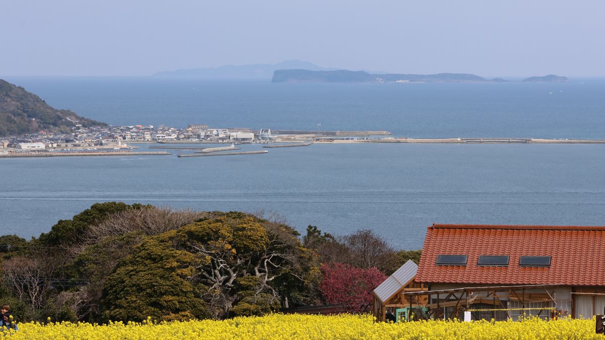 arnaud audoin / Pexels Beautiful coastal landscape with yellow flowers and ocean view.