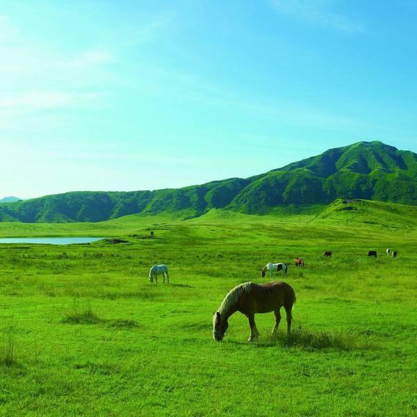 草千里ヶ浜