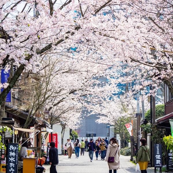 阿蘇神社の門前町商店街