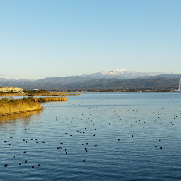 柴山潟