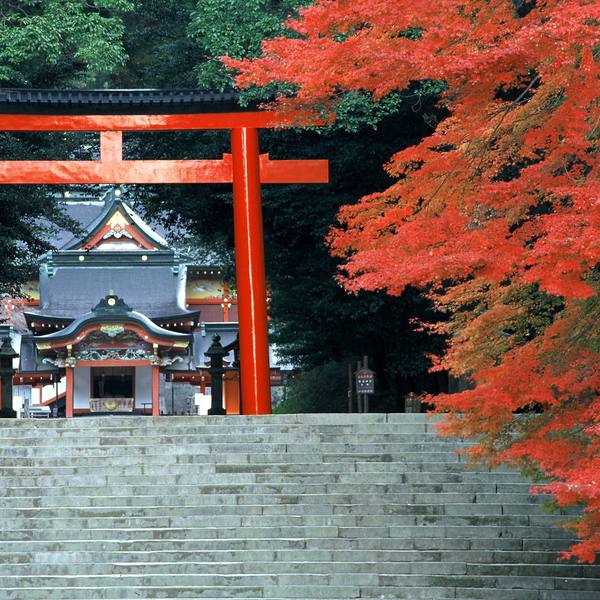 霧島神宮と紅葉