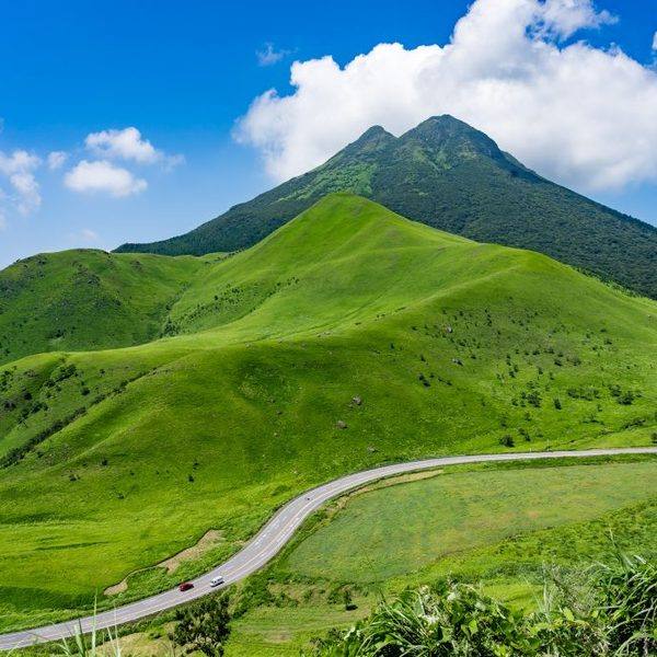 由布岳山麓の牧野