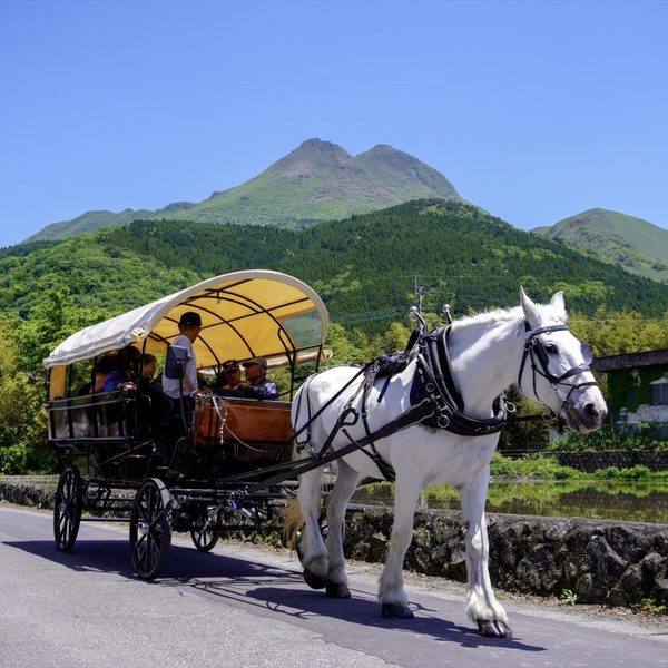 由布院観光辻馬車