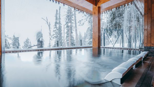 Serene indoor jacuzzi overlooking a snow-covered forest, perfect for relaxation.