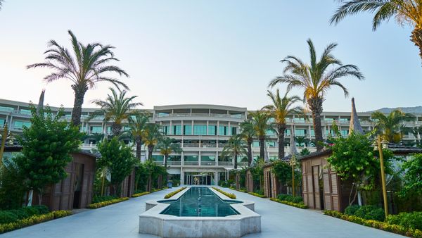 Explore a stunning modern resort featuring a sleek swimming pool surrounded by palm trees.