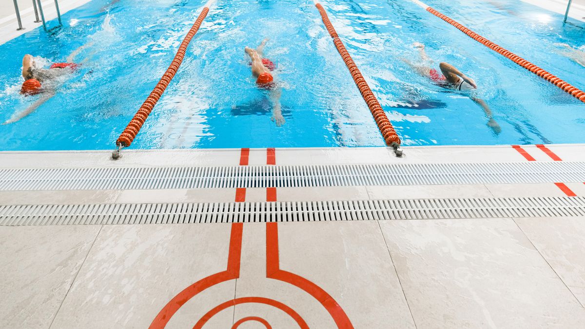 Three athletes swimming freestyle in a bright indoor pool.