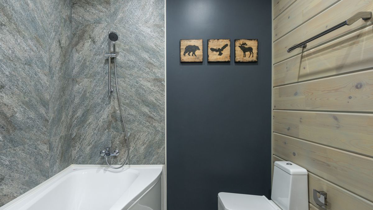 Max Vakhtbovych / Pexels Stylish interior with bathtub shower and toilet in modern bathroom with tilled and wooden walls and decor